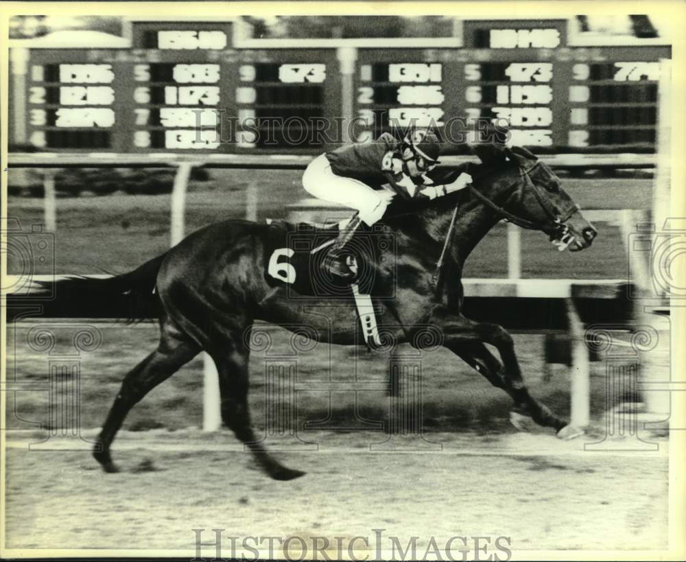 1986 Press Photo Race horse Timely Albert with Phil Rubbicco up at LeComte Hdcp- Historic Images