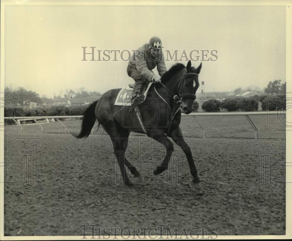 Press Photo Race horse Backbiter with Grady Overton up runs on the track- Historic Images