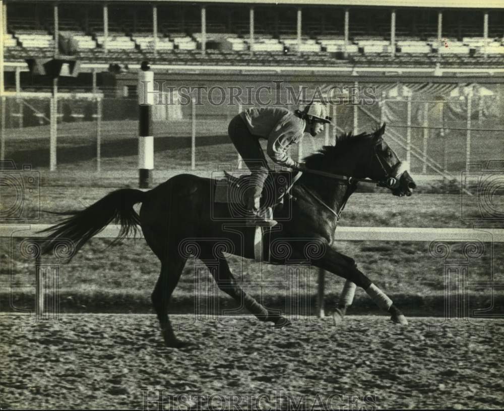 1986 Press Photo Jockey exercises race horse Vernon&#39;s Castle on the track- Historic Images