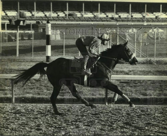 1986 Press Photo Jockey exercises race horse Vernon's Castle on the track- Historic Images