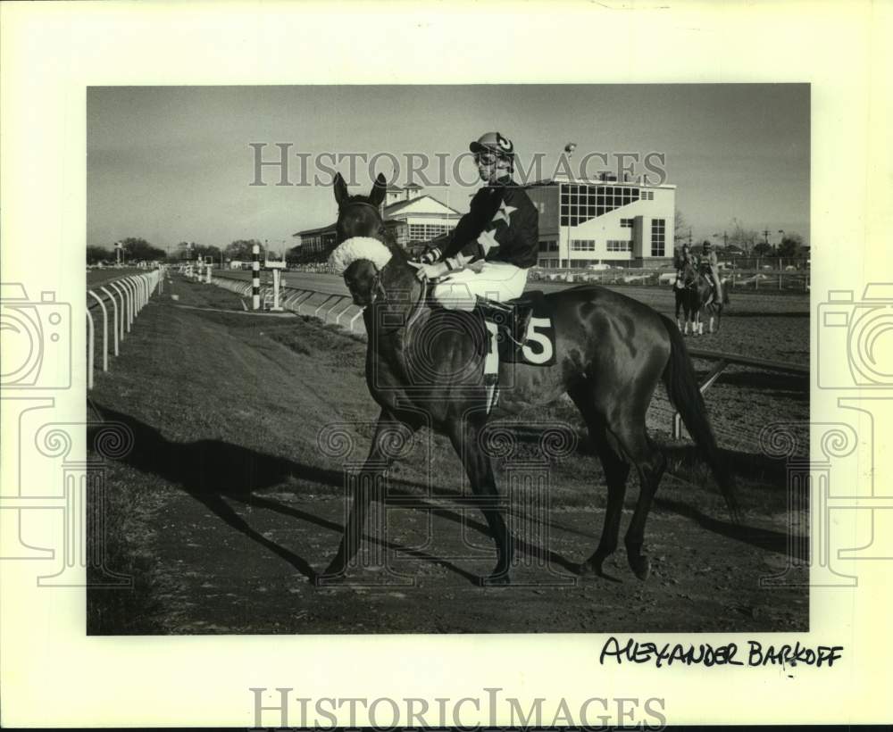 1982 Press Photo Racehorse Beau Rit - nos25700- Historic Images