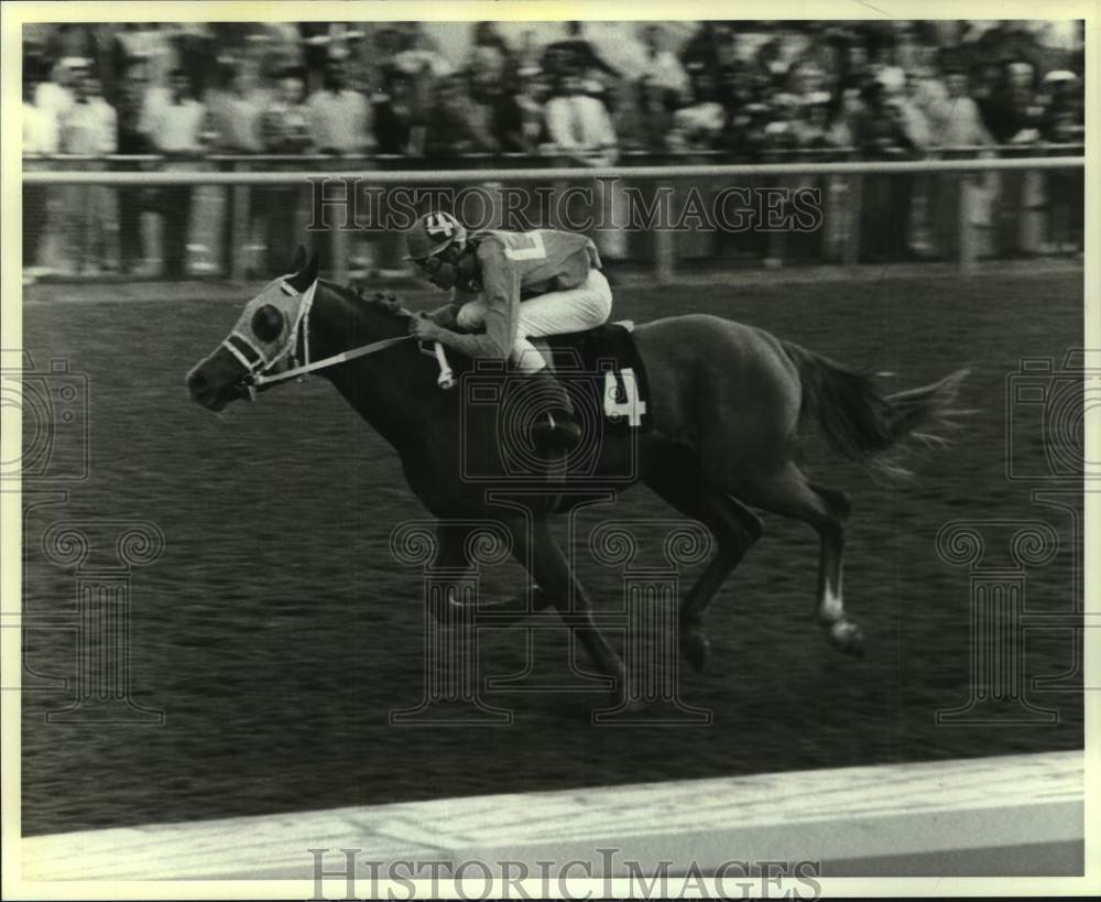 1982 Press Photo Racehorse Bidabunch - nos25704- Historic Images