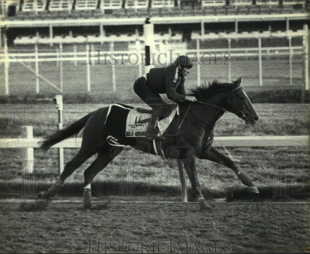 1986 Press Photo Racehorse Bold Arrangement at Churchill Downs - nos25709- Historic Images