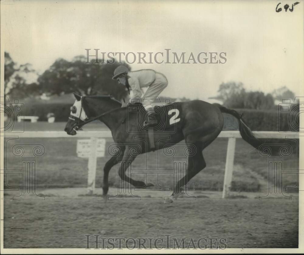 Press Photo Racehorse Nero with jockey RL Baird - nos25715- Historic Images