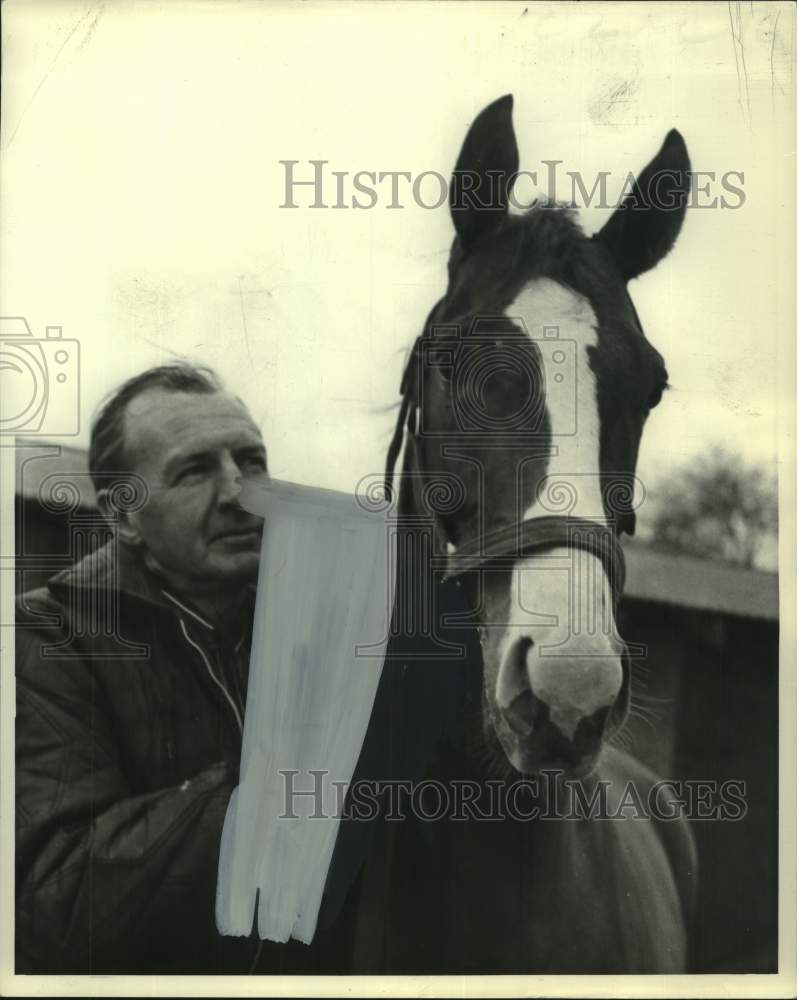 1969 Press Photo Race horse Port Digger, owned by Dan Myers gets looked over- Historic Images