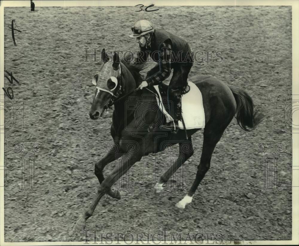 1969 Press Photo Trainer Jimmy Brennan works out race horse Strong Strong- Historic Images