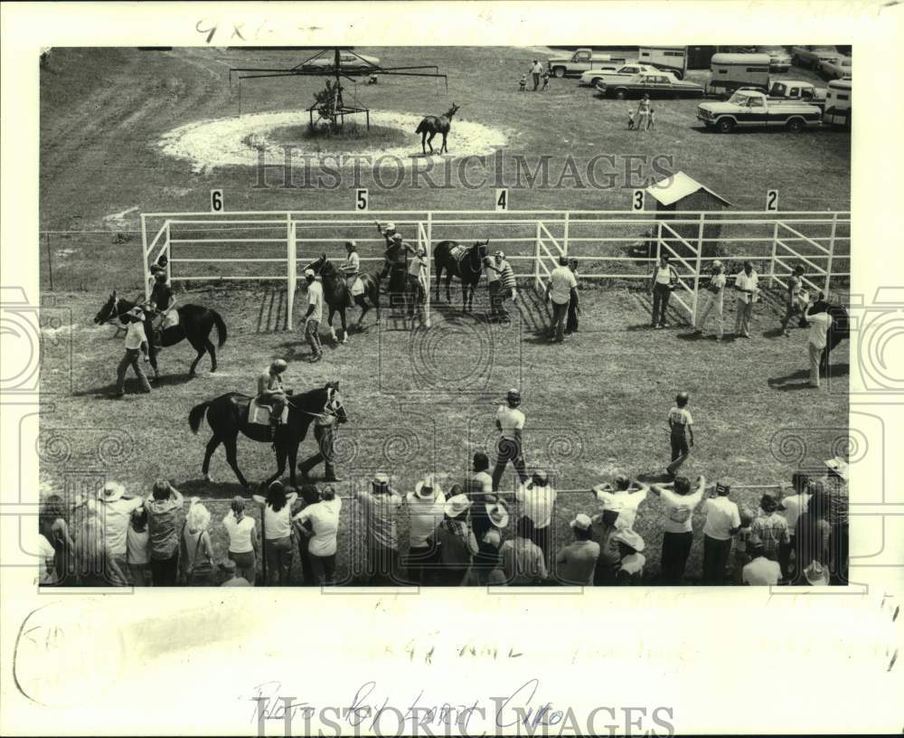 1980 Press Photo Crowd watches race horses in practice area at Oak Downs- Historic Images