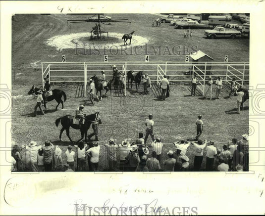 1980 Press Photo Crowd watches race horses in practice area at Oak Downs- Historic Images