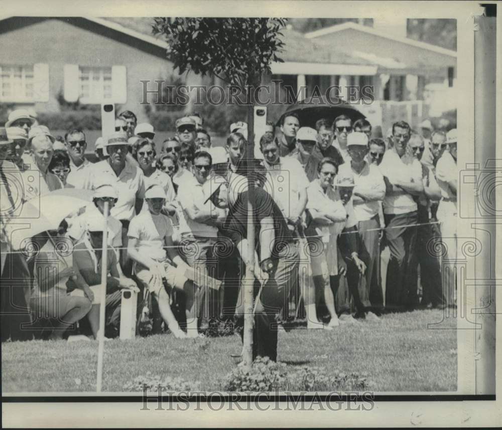 1967 Press Photo Golfer Jack Nicklaus hits from behind a tree at PGA Tournament- Historic Images