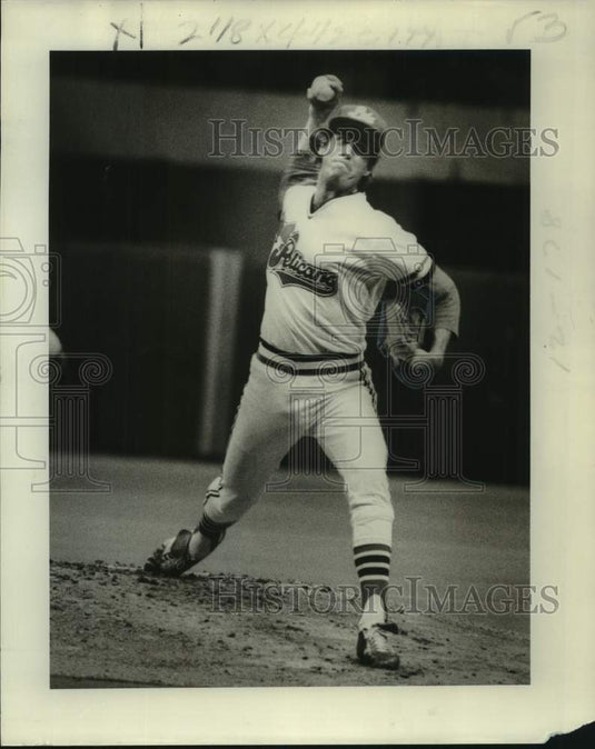 1977 Press Photo New Orleans Pelicans baseball pitcher Bill Rotham - nos30932- Historic Images