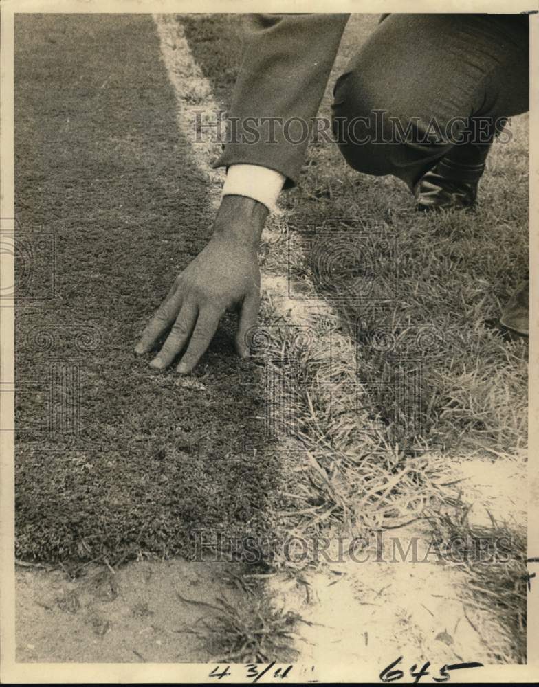 1971 Press Photo Tulane Football Coach Tony Misita Compares Astro-Turf &amp; Grass- Historic Images