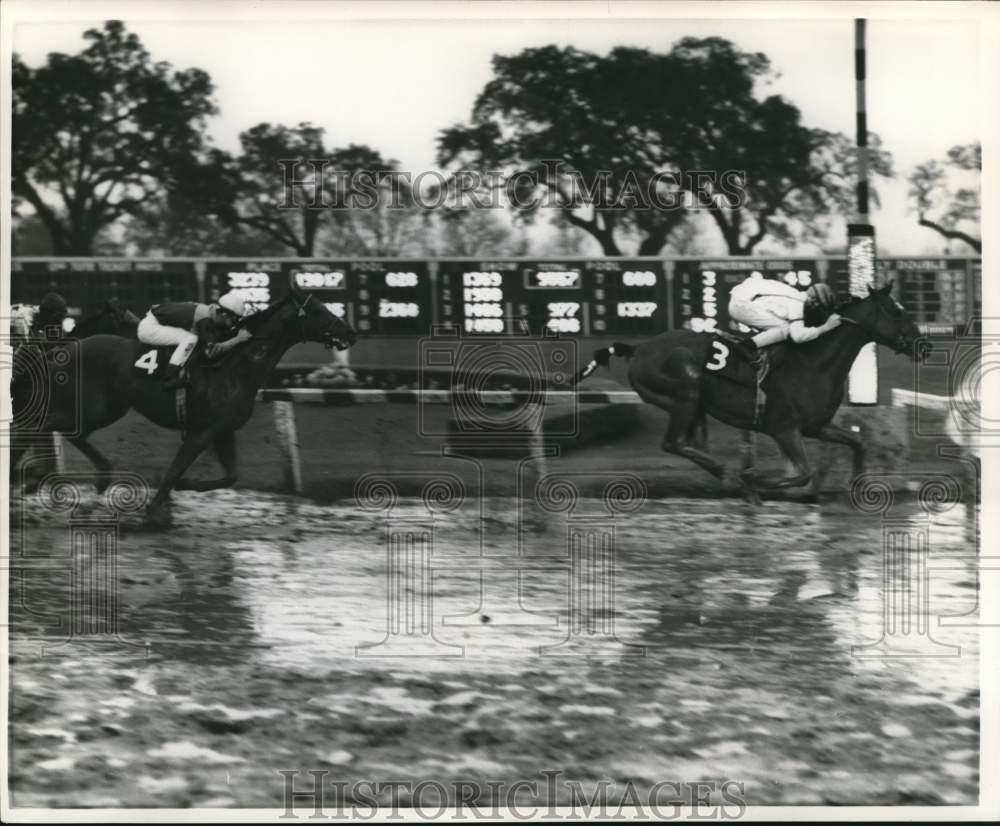 1968 Press Photo Horses Racing at Fairgrounds- Historic Images