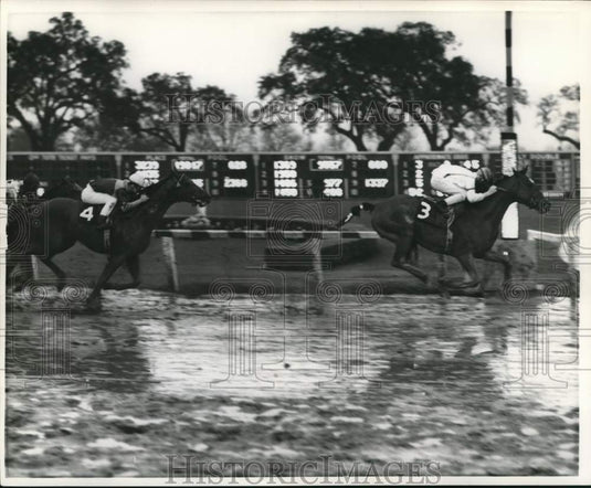 1968 Press Photo Horses Racing at Fairgrounds- Historic Images