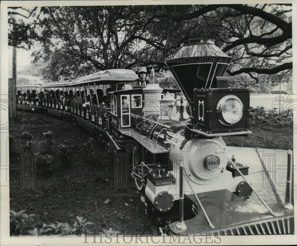 1977 Press Photo Train Full of Passengers at Audubon Park- Historic Images