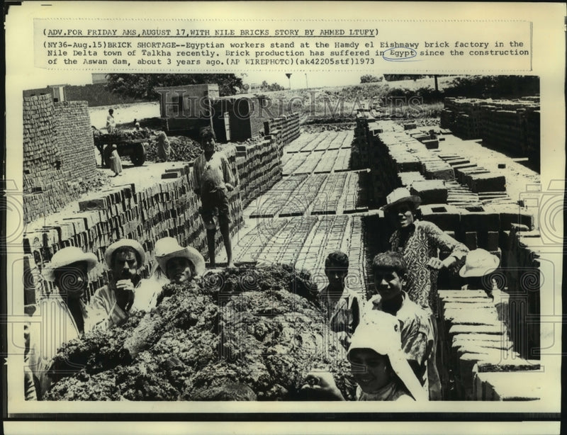 Load image into Gallery viewer, 1973 Press Photo Egyptian workers at Hamdy el Eishmawy brick factory in Talkha
