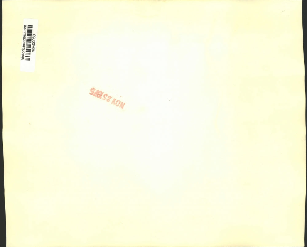 1975 Press Photo President & Mrs. Ford with others at White House dinner