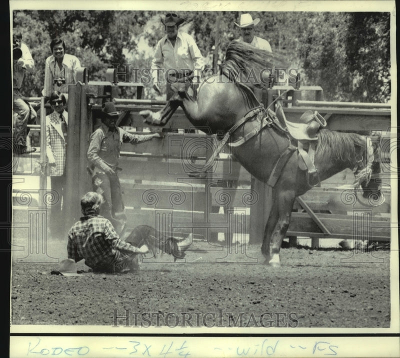 Load image into Gallery viewer, 1975 Press Photo President Ford's son Steven thrown from bucking bronco
