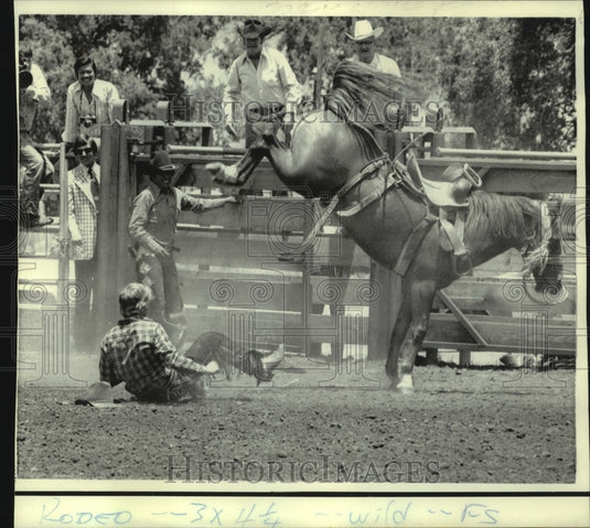 1975 Press Photo President Ford's son Steven thrown from bucking bronco