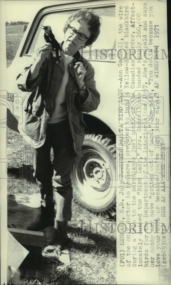 1971 Press Photo Ann Gammell prepares to band a Yellow-headed Blackbird