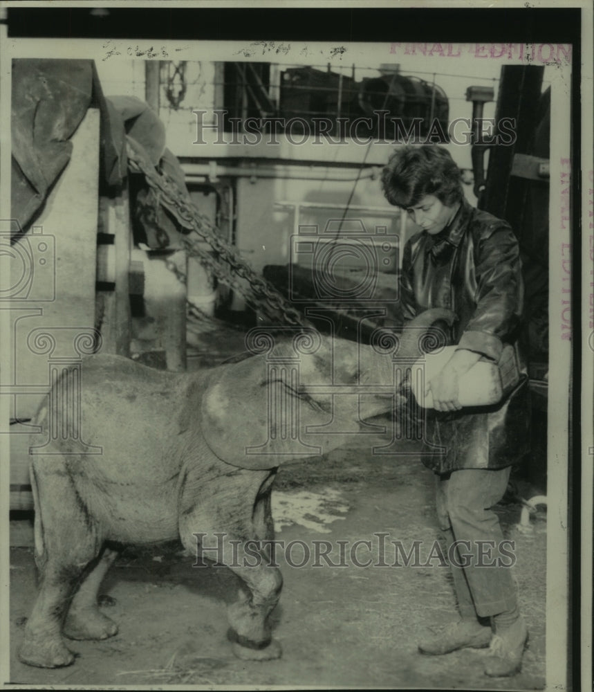 1967 Press Photo &quot;Baby,&quot; elephant aboard SS Eugene Lykes feed by Inge Topperwein