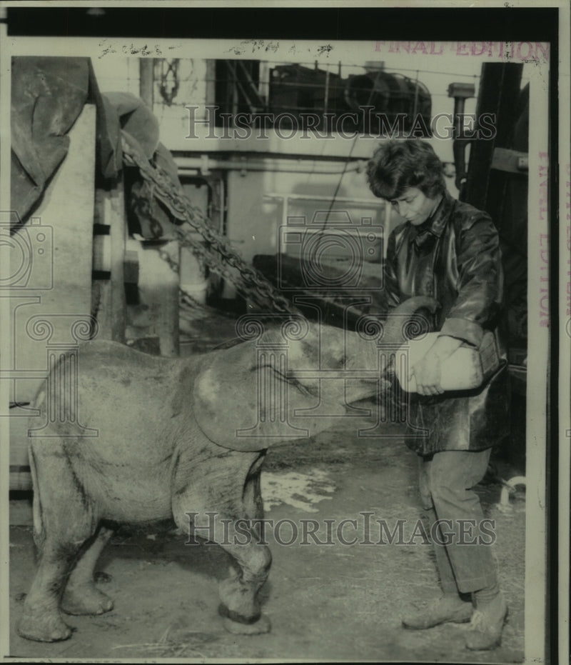 Load image into Gallery viewer, 1967 Press Photo "Baby," elephant aboard SS Eugene Lykes feed by Inge Topperwein
