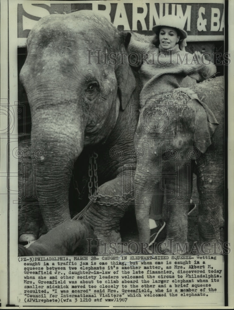 Load image into Gallery viewer, 1967 Press Photo Mrs. Albert Greenfield caught in squeeze between two elephants
