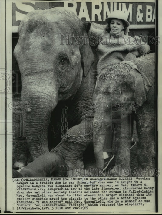1967 Press Photo Mrs. Albert Greenfield caught in squeeze between two elephants