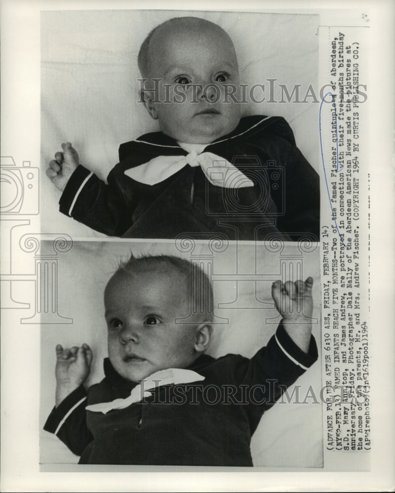 Load image into Gallery viewer, 1964 Press Photo Mary Ann, top, and James Andrew Fischer on five months birthday
