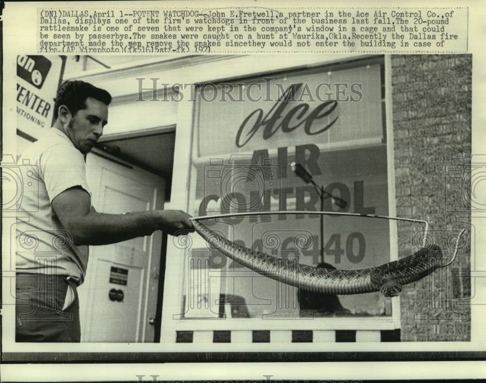1971 Press Photo John Fretwell displaces his rattlesnake watchdogs for his shop