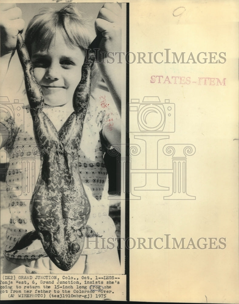 1975 Press Photo Tonja West, Grand Junction, CO, holds 15-inch long frog.