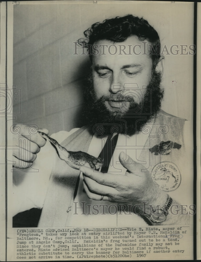 Load image into Gallery viewer, 1967 Press Photo Mayor of "Frogtown," says jumping frog is a toad - now02890
