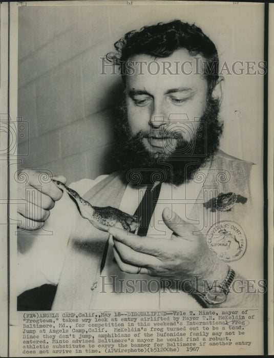 1967 Press Photo Mayor of "Frogtown," says jumping frog is a toad - now02890