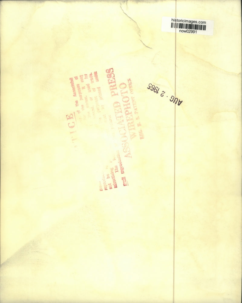 Load image into Gallery viewer, 1965 Press Photo Dr. Carl-Axel Gemzell discovered fertility treatment
