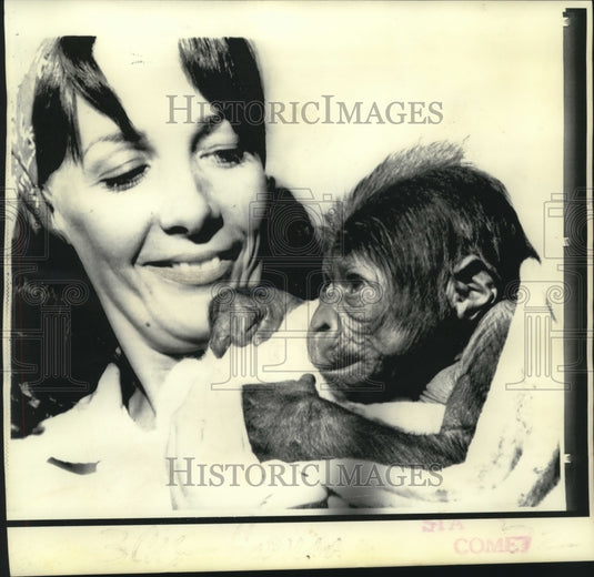 1973 Press Photo San Diego Zoo's baby gorilla Jim with attendant Sue Schraeded
