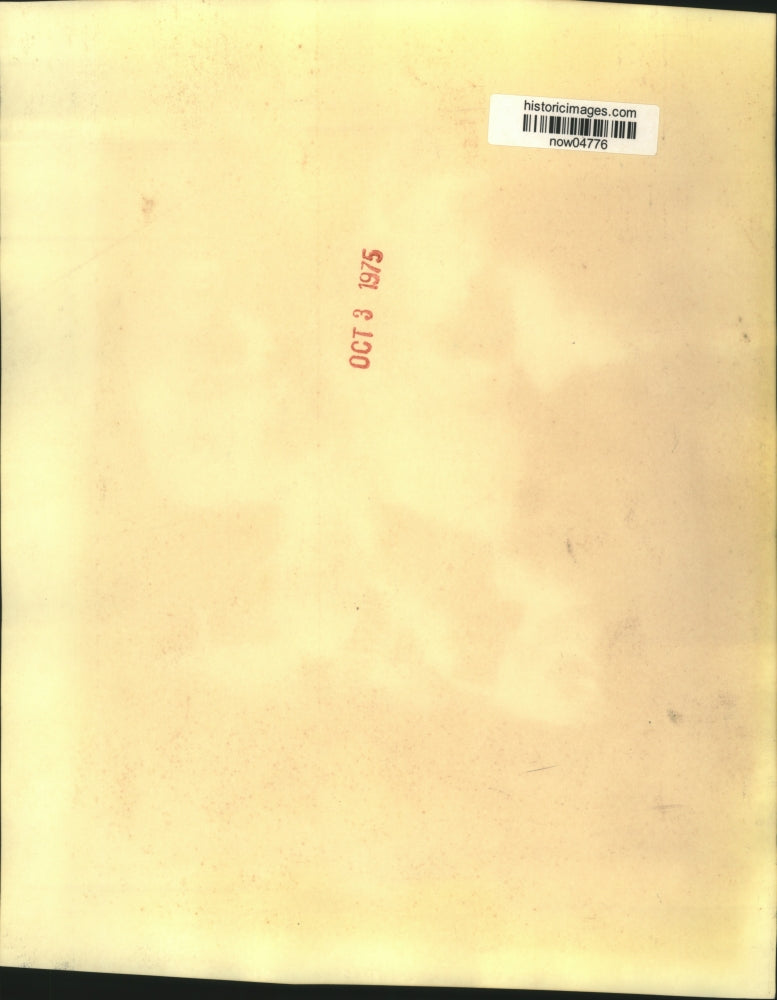 1975 Press Photo Seattle Woodland Park Zoo's mother gorilla, Nina, and offspring