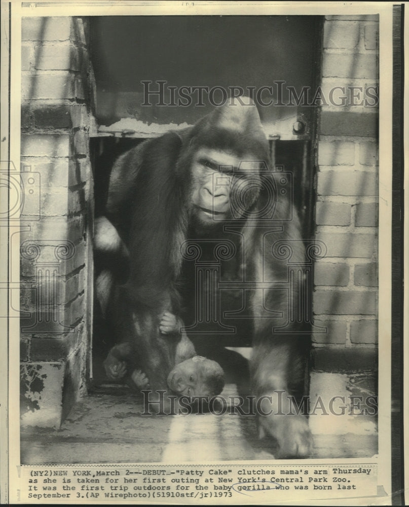 1973 Press Photo Patty Cake and mother gorilla at New York&#39;s Central Park Zoo.
