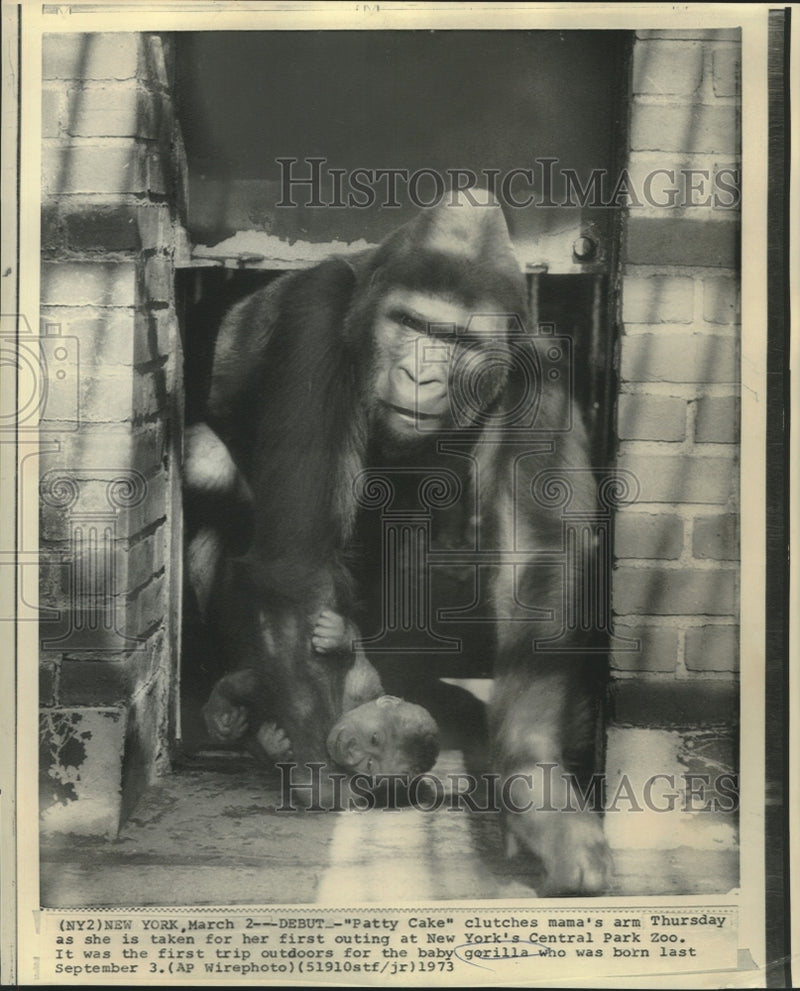 Load image into Gallery viewer, 1973 Press Photo Patty Cake and mother gorilla at New York's Central Park Zoo.

