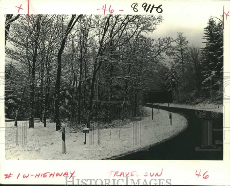 Load image into Gallery viewer, 1985 Press Photo Acid rain destroys trees along West German Black Forest highway
