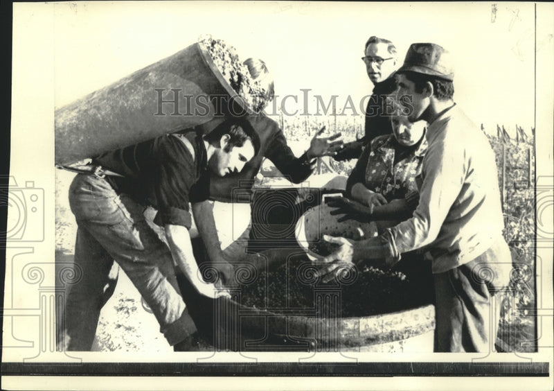 Load image into Gallery viewer, 1971 Press Photo Rhine River vineyard grapes dumped in vat at Eltville, Germany
