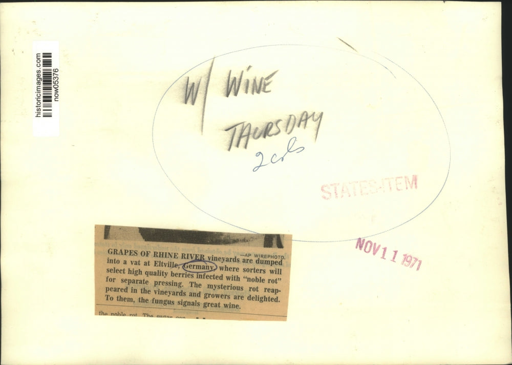 1971 Press Photo Rhine River vineyard grapes dumped in vat at Eltville, Germany