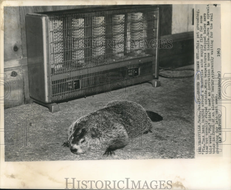Load image into Gallery viewer, 1963 Press Photo Pet groundhog "Pig" sprawled beside electric heater in TN
