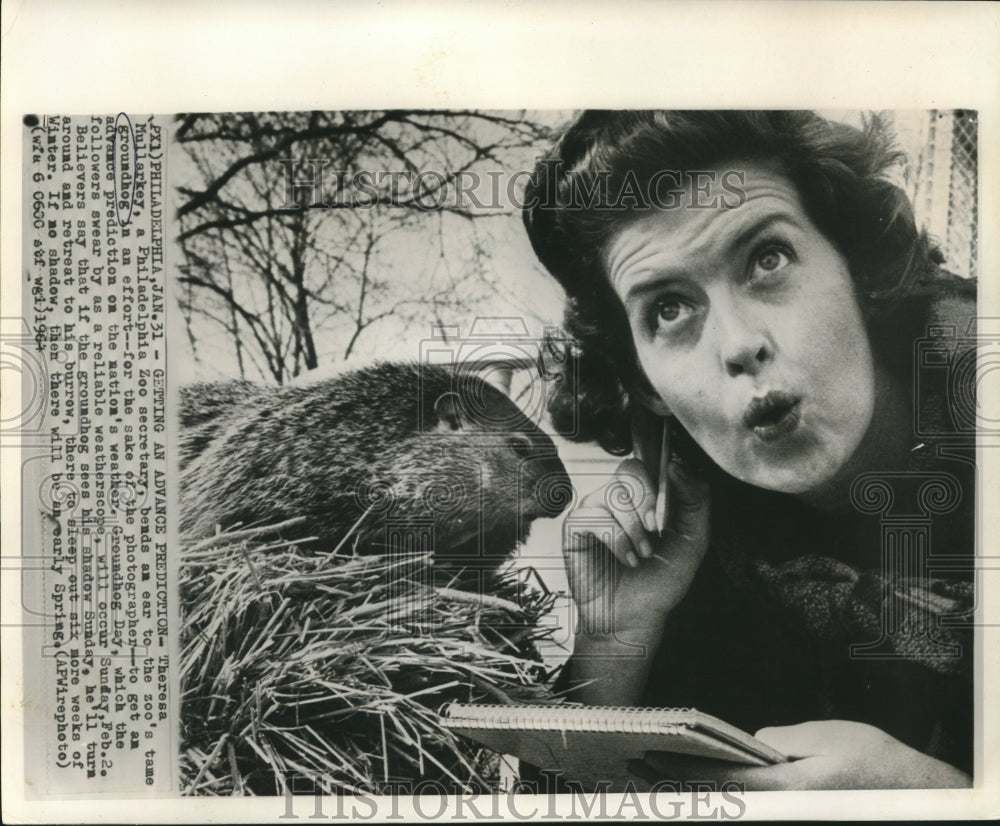 1964 Press Photo Theresa Mullarkey gets early prediction from zoo&#39;s groundhog
