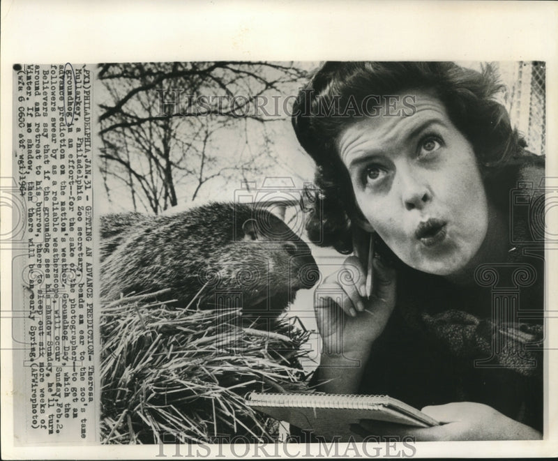 Load image into Gallery viewer, 1964 Press Photo Theresa Mullarkey gets early prediction from zoo's groundhog

