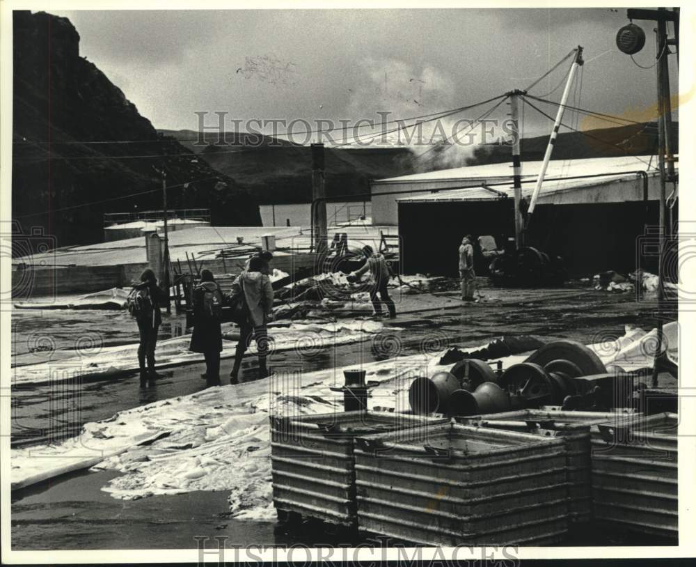 1978 Press Photo Whaling station in Iceland - now11301