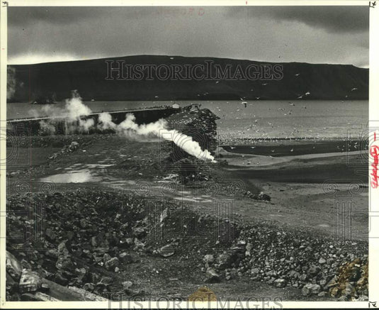 1978 Press Photo Flock of seagulls swarm Iceland whaling station - now11305