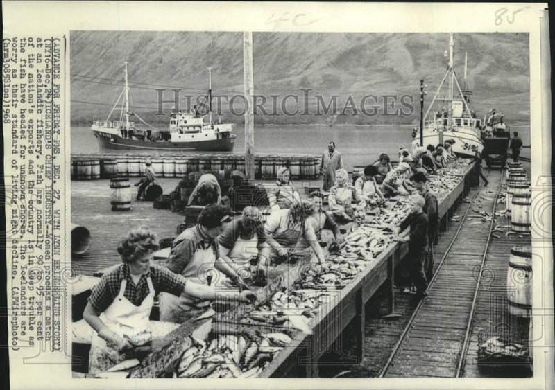 Load image into Gallery viewer, 1968 Press Photo Women process fish at an Icelandic Fishery. - now11313
