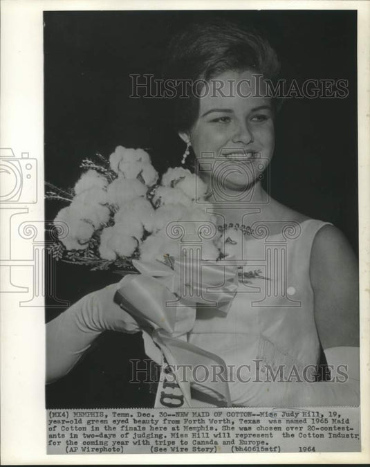 1964 Press Photo Miss Judy Hill, 1965 Maid of Cotton. - now11879