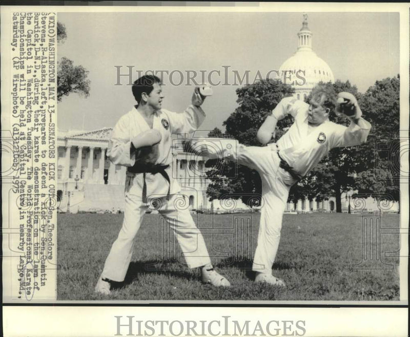 Load image into Gallery viewer, 1975 Press Photo Senators Stevens and Burdick demonstrate karate at Capitol
