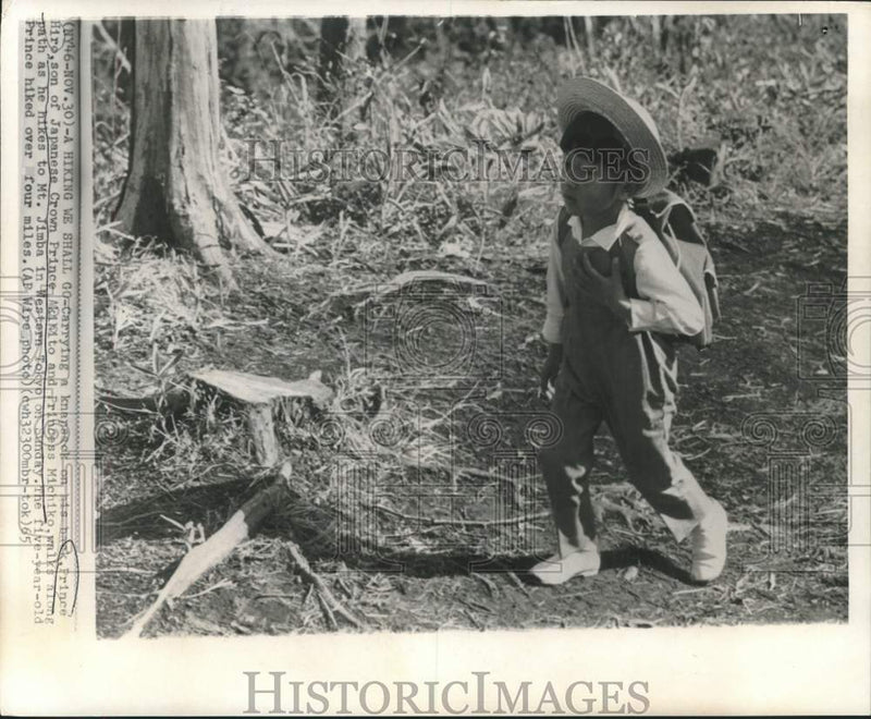 Load image into Gallery viewer, 1965 Press Photo Knapsack on his back, Prince Hiro of Japan, hikes Mt. Jimba
