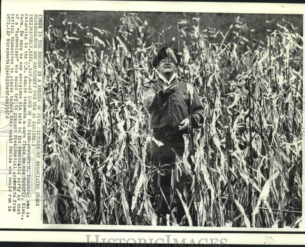 1970 Press Photo Senator Humphrey checks cornfield at his Waverly, MN farm